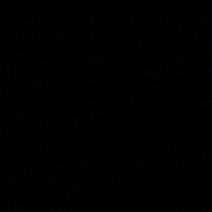 Meet your Posher, Ashton